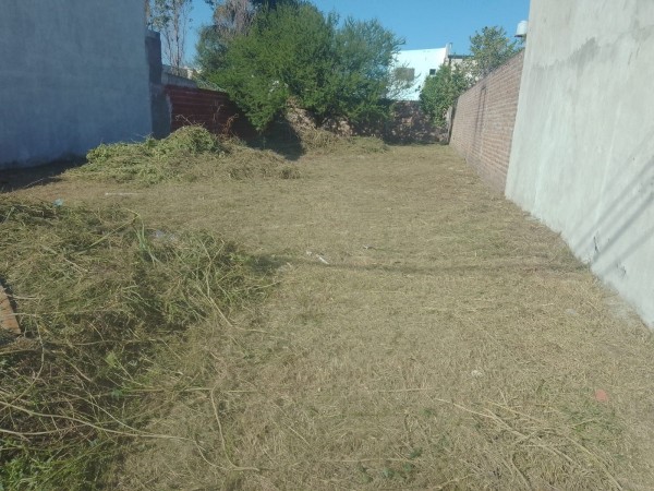 Terreno frente al seminario